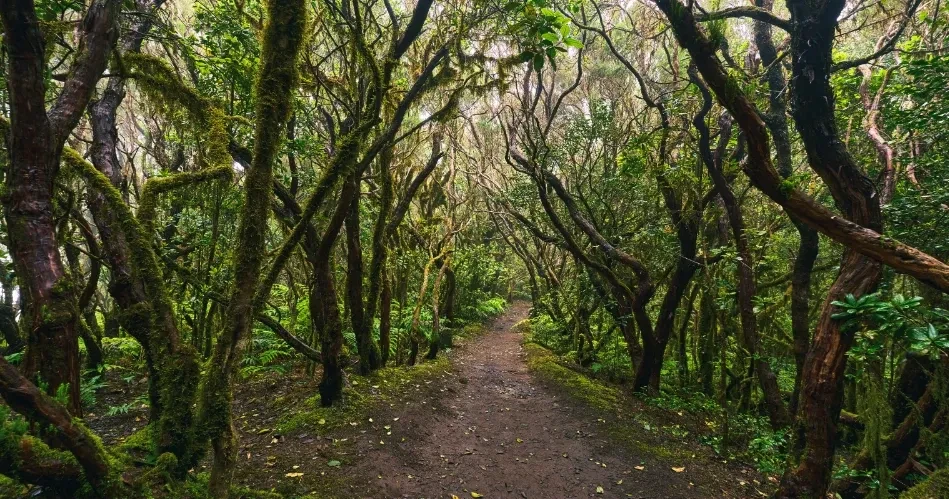Best Outdoor Adventures in Los Angeles for Thrill Seekers & Nature Lovers